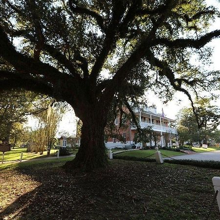 Old Castillo Bed And Breakfast Saint Martinville 外观 照片