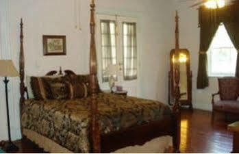 Old Castillo Bed And Breakfast Saint Martinville 外观 照片