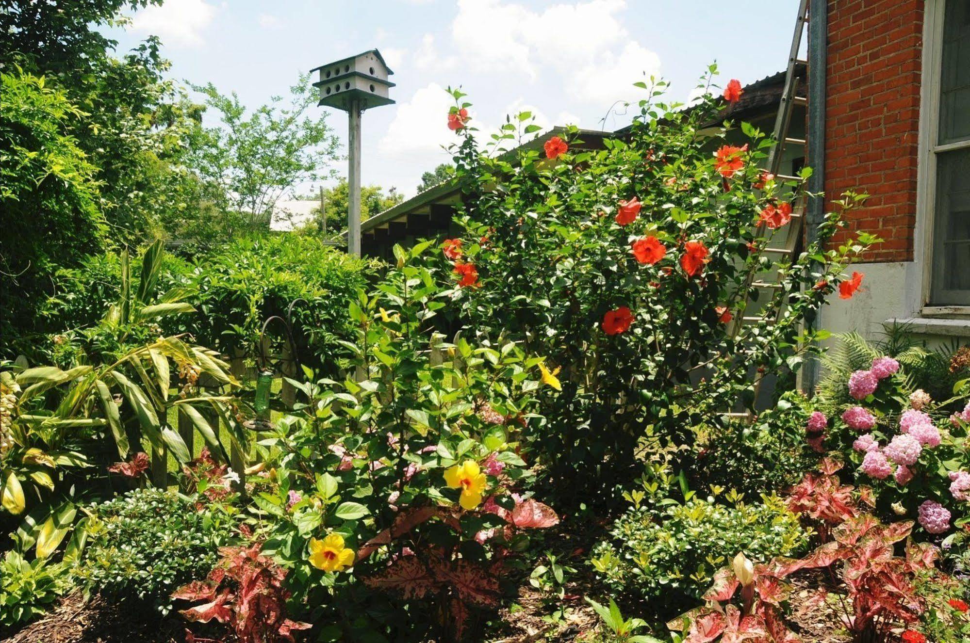 Old Castillo Bed And Breakfast Saint Martinville 外观 照片